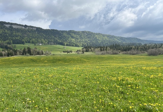 23-05-21 16-51-13 5532